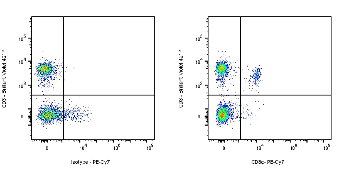 PE-Cy7 Rat Anti-Mouse CD8α Antibody (53-6.7)