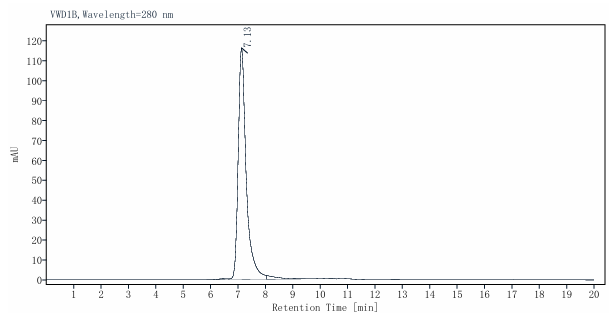 E2/Envelope2 GST&His Tag Protein, Chikungunya virus CHIKV