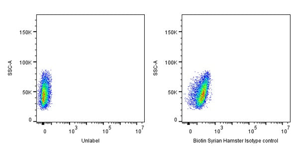 Biotin Syrian Hamster Isotype control