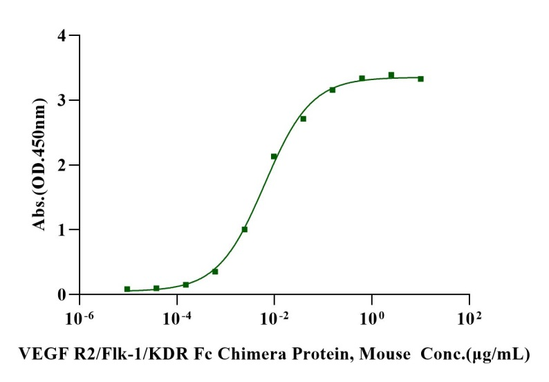 VEGF R2/Flk-1/KDR Fc Chimera Protein, Mouse