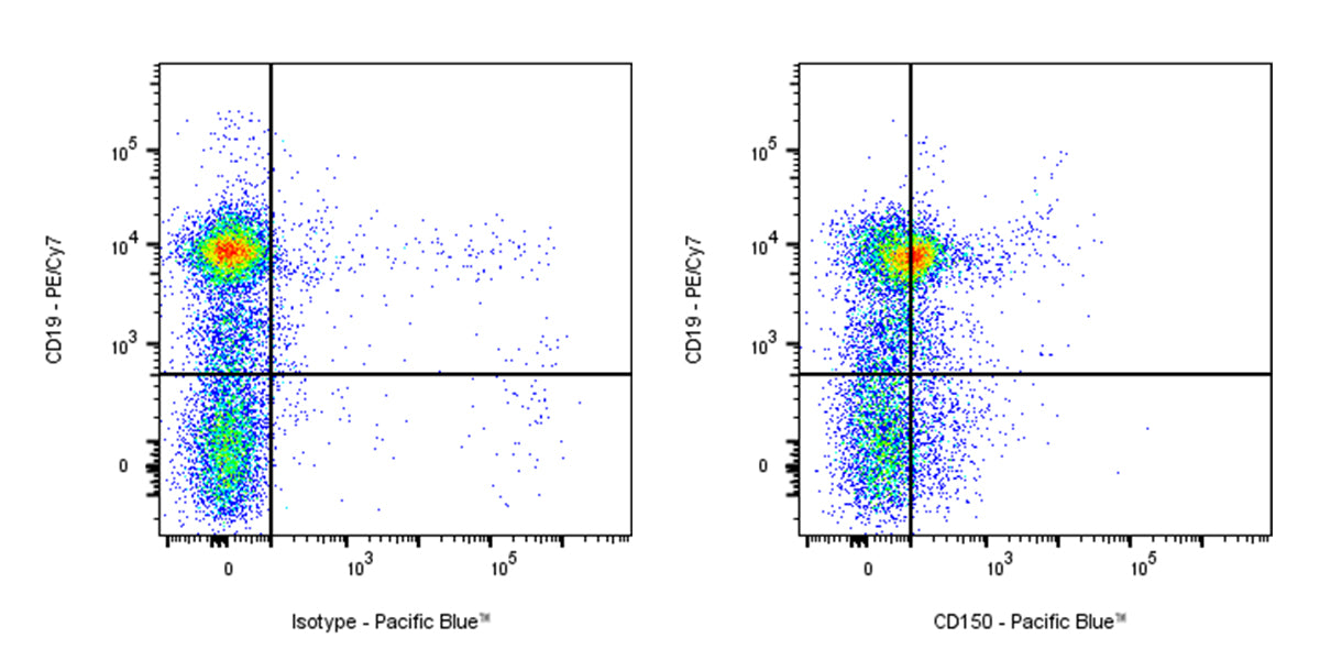 Pacific Blue Rat Anti-Mouse CD150 Antibody (S-R738)