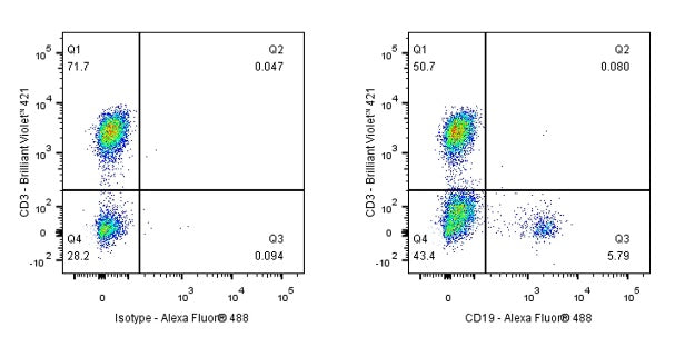 Mouse Anti-Human CD19 Antibody (S-R503-2)
