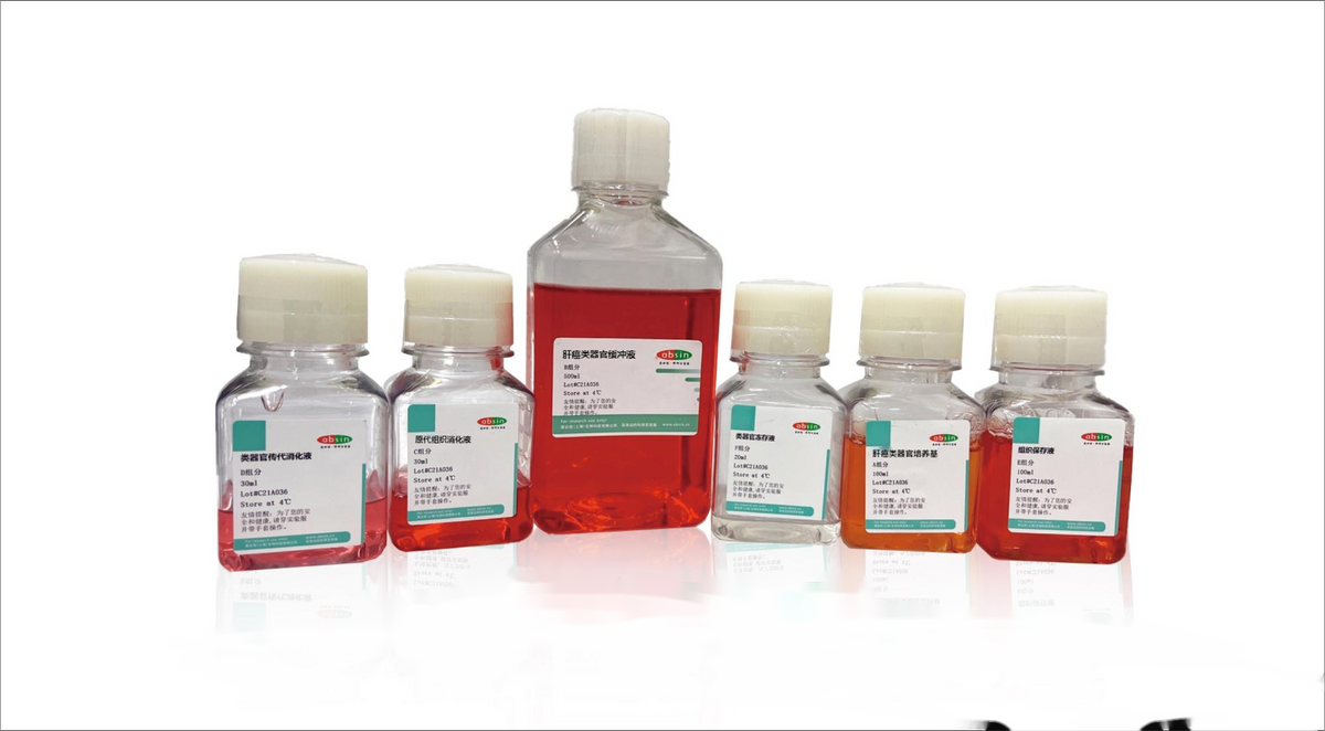 Human Hepatocarcinoma Organoid Culture Medium Kit