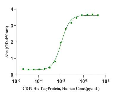 CD19 His Tag Protein, Human