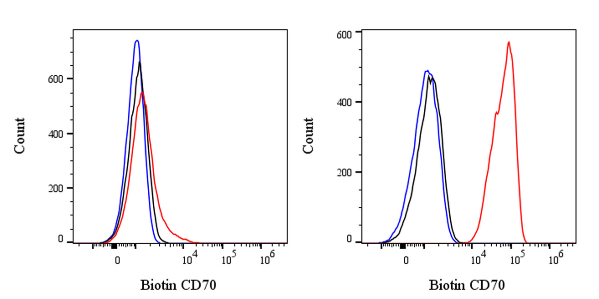 Biotin Mouse Anti-Human CD70 Antibody (Ki-24)