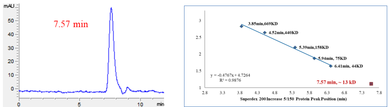 MDM2 Protein