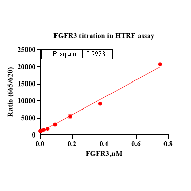 Product image media