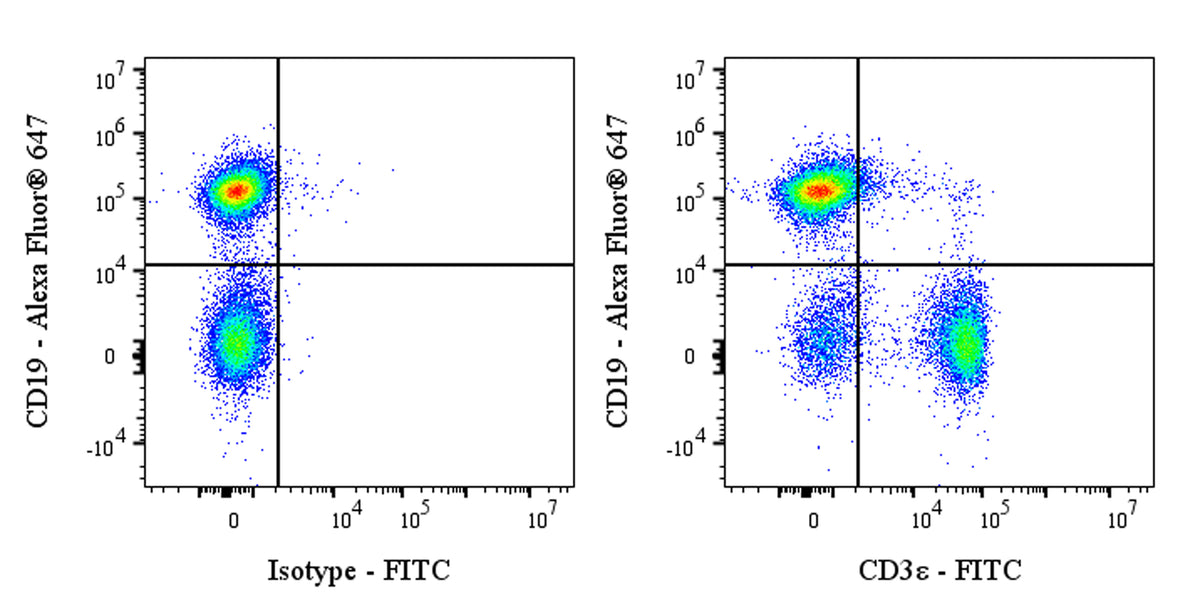 FITC Rat Anti-Mouse CD3ε Antibody (KT3)