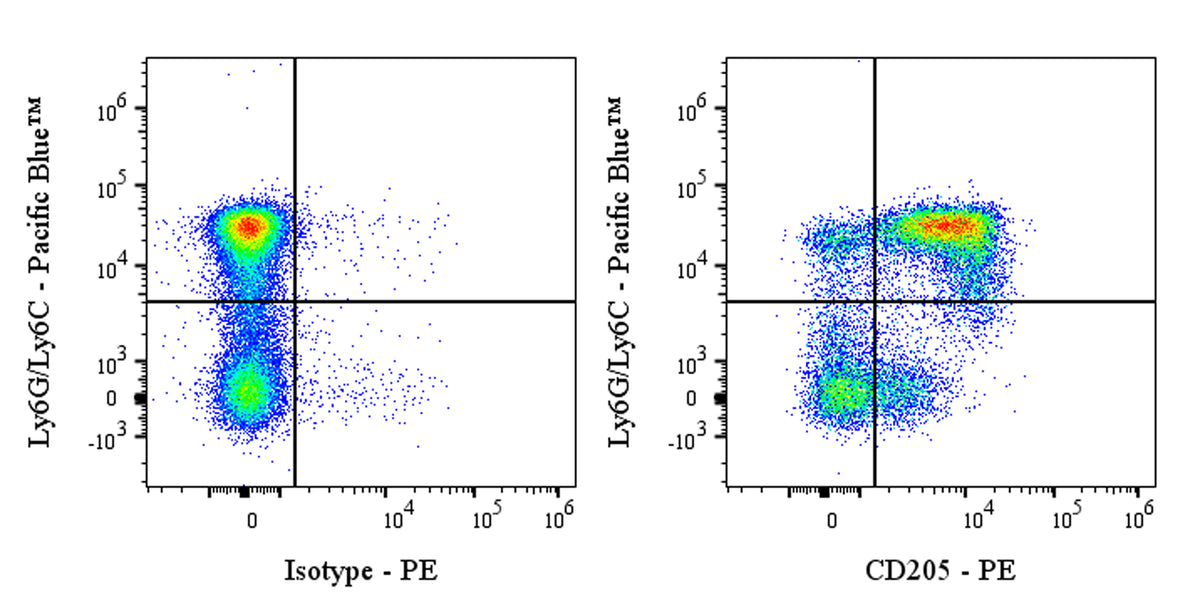 PE Rat Anti-Mouse CD205 Antibody (NLDC-145)