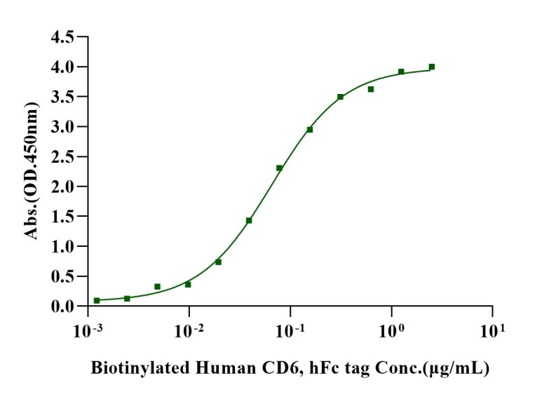 ALCAM/CD166 Fc Chimera Protein, Human