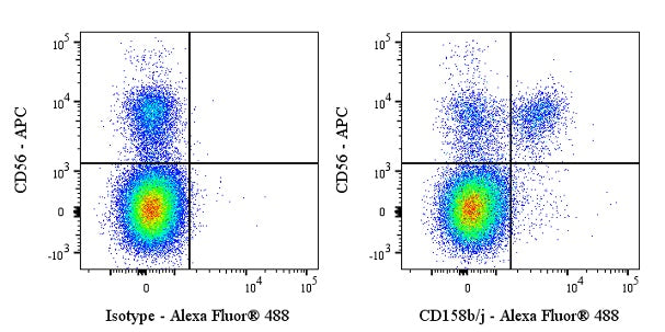 Alexa Fluor® 488 Mouse Anti-Human CD158b/j Antibody (S-2917)