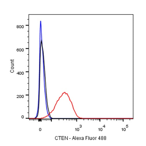 CTEN Recombinant Rabbit mAb (SDT-R175)