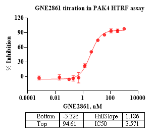 PAK4 Protein