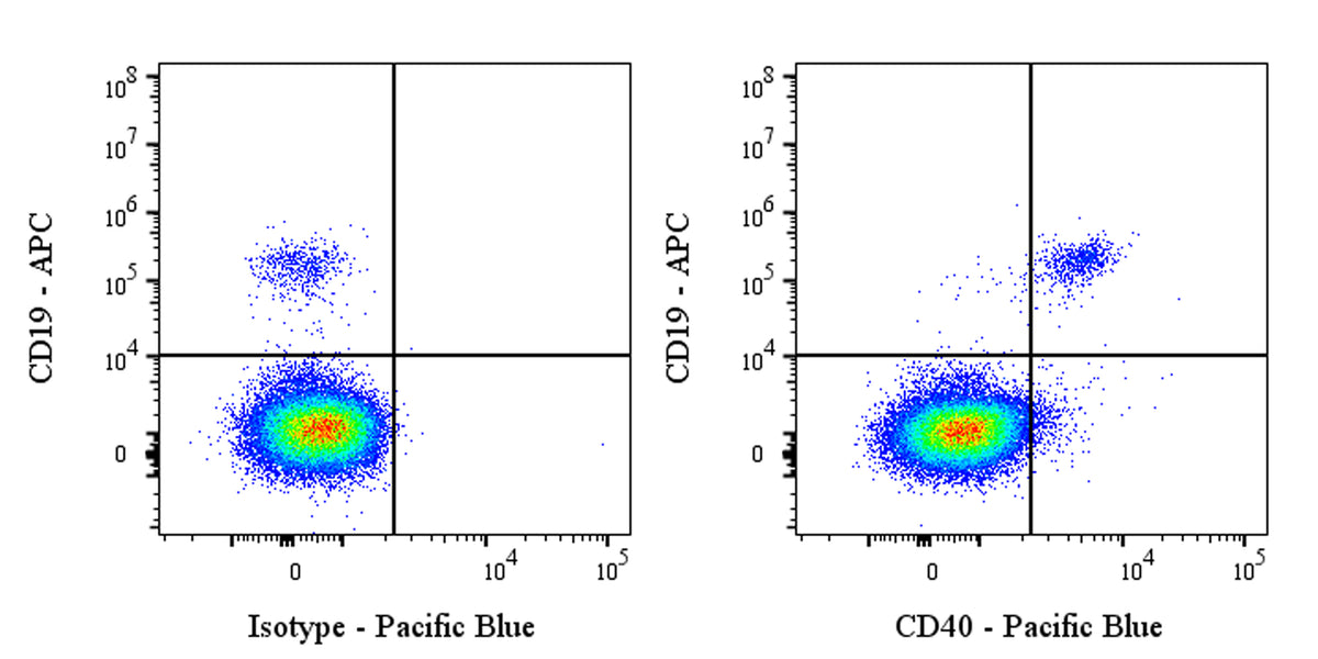 Pacific Blue Human Anti-Human CD40 Antibody (ABBV-323)