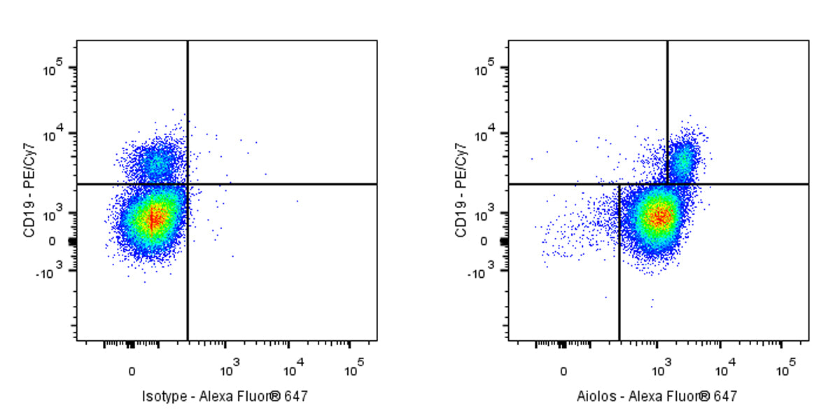 Mouse Anti-Human Aiolos Antibody (S-3264)