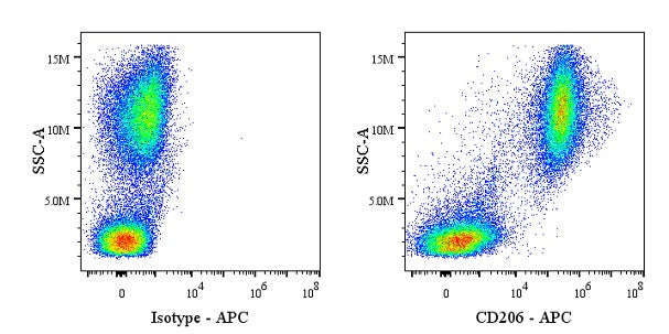 APC Mouse Anti-Human CD206 Antibody (15-2)