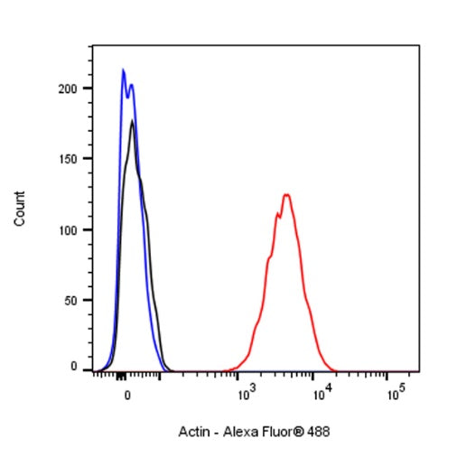 Pan Actin Recombinant Rabbit mAb (S-1365-34)