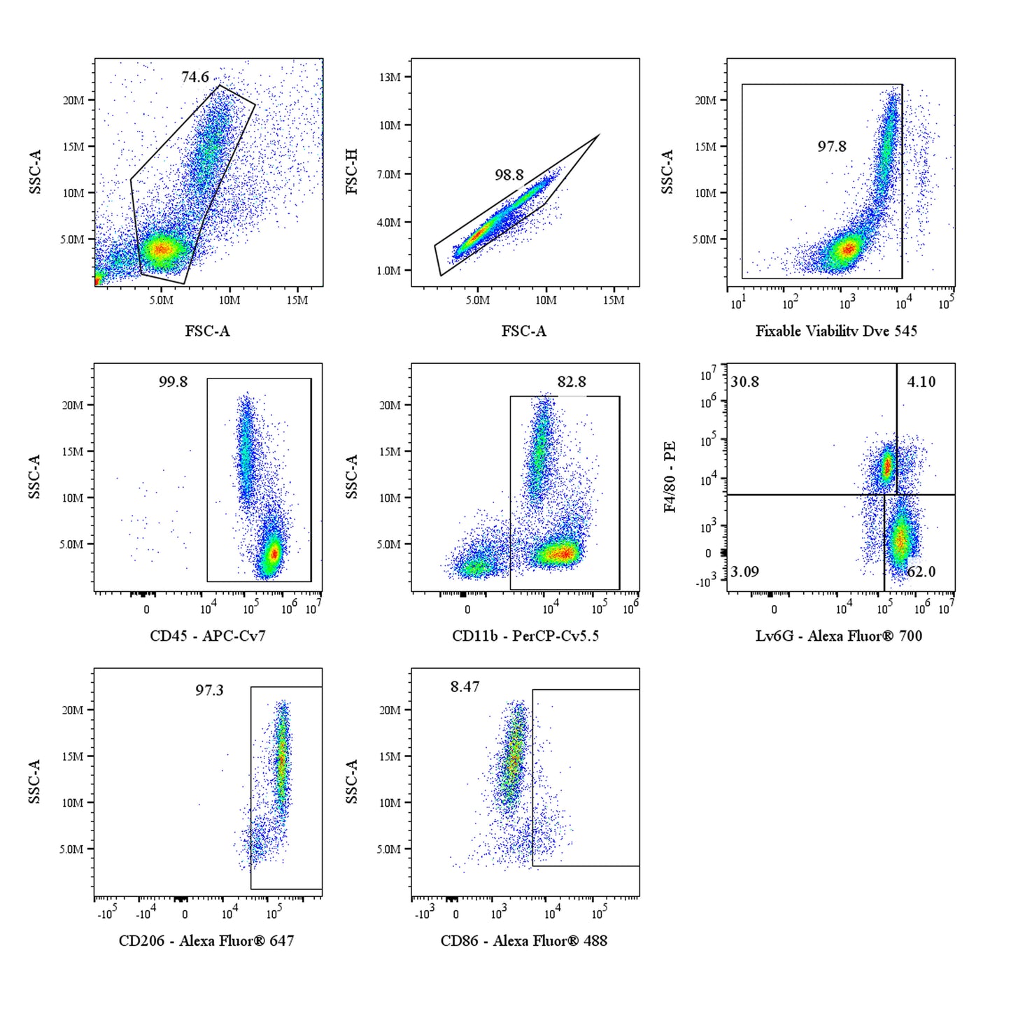 Mouse MacroPhage Panel Kit (CD45/CD11b/F4/80/Ly6G/CD206/CD86)