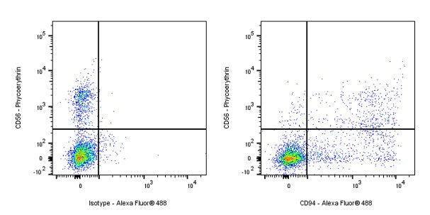CD94 Recombinant Rabbit mAb (S-2616-17)