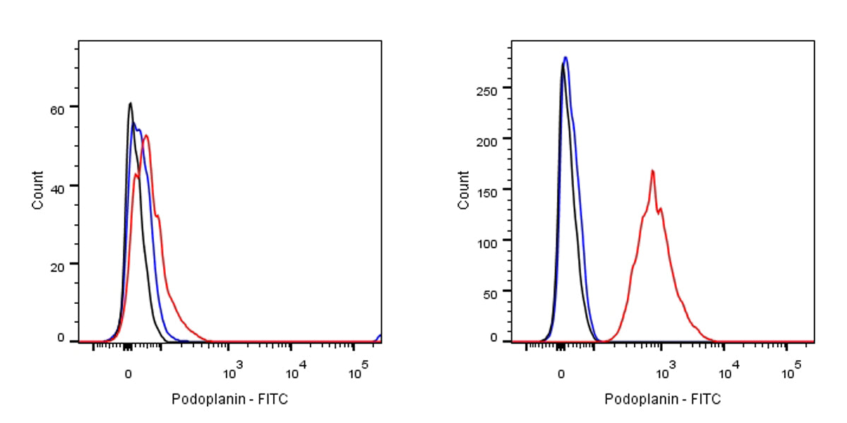 FITC Syrian hamster Anti-Mouse Podoplanin Antibody (8.1.1)