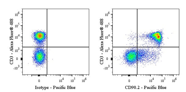 Pacific Blue Rat Anti-Mouse CD90.2 (Thy-1.2) Antibody (53-2.1)