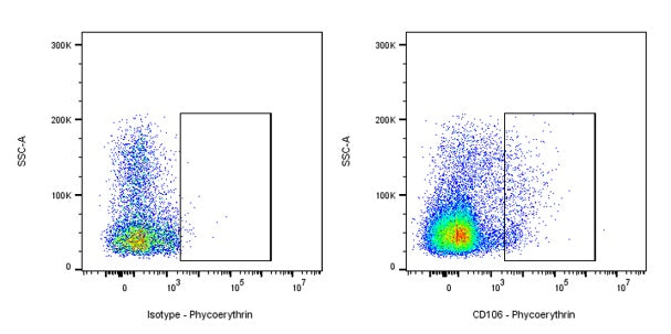 PE Rat Anti-Mouse CD106 Antibody (S-R733)