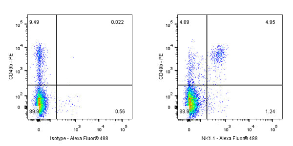 NK1.1/CD161 Recombinant Rabbit mAb (S-428-32)