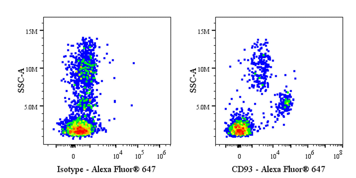 Mouse Anti-Human CD93 Antibody (S-4392)