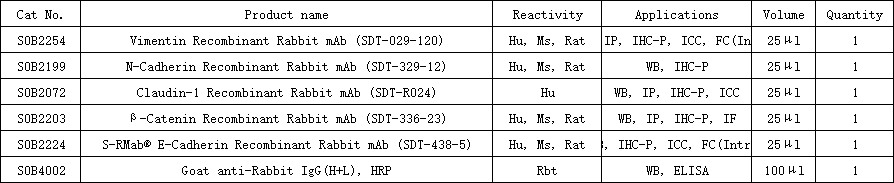Epithelial-Mesenchymal Transition Antibody MiniAb Set