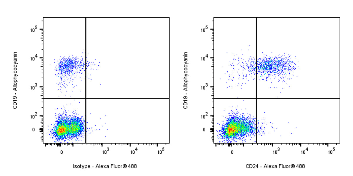 Alexa Fluor® 488 Rabbit Anti-Human CD24 Antibody (S-974-13)