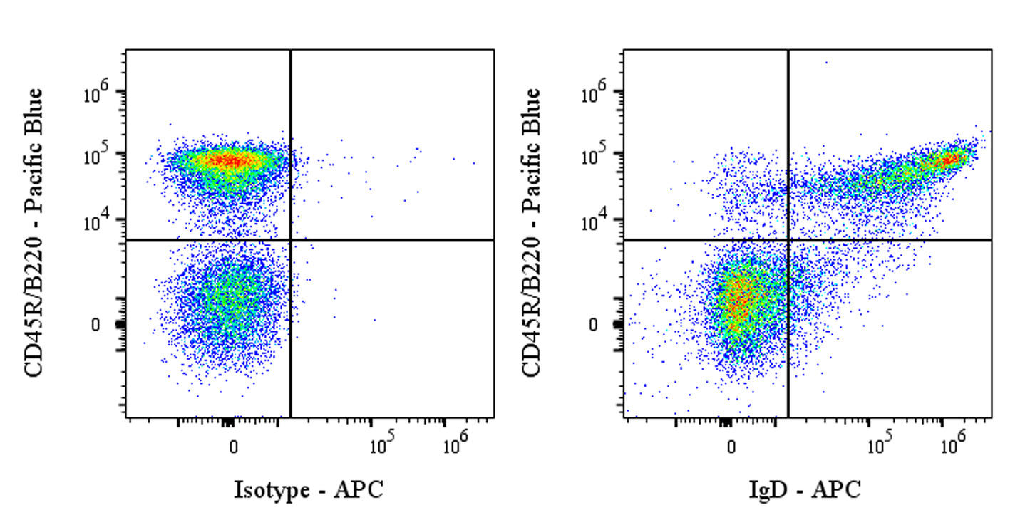 APC Rat Anti-Mouse IgD Antibody (S-R622)