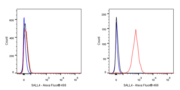 S-RMab®SALL4 Recombinant Rabbit mAb (SDT-R232)
