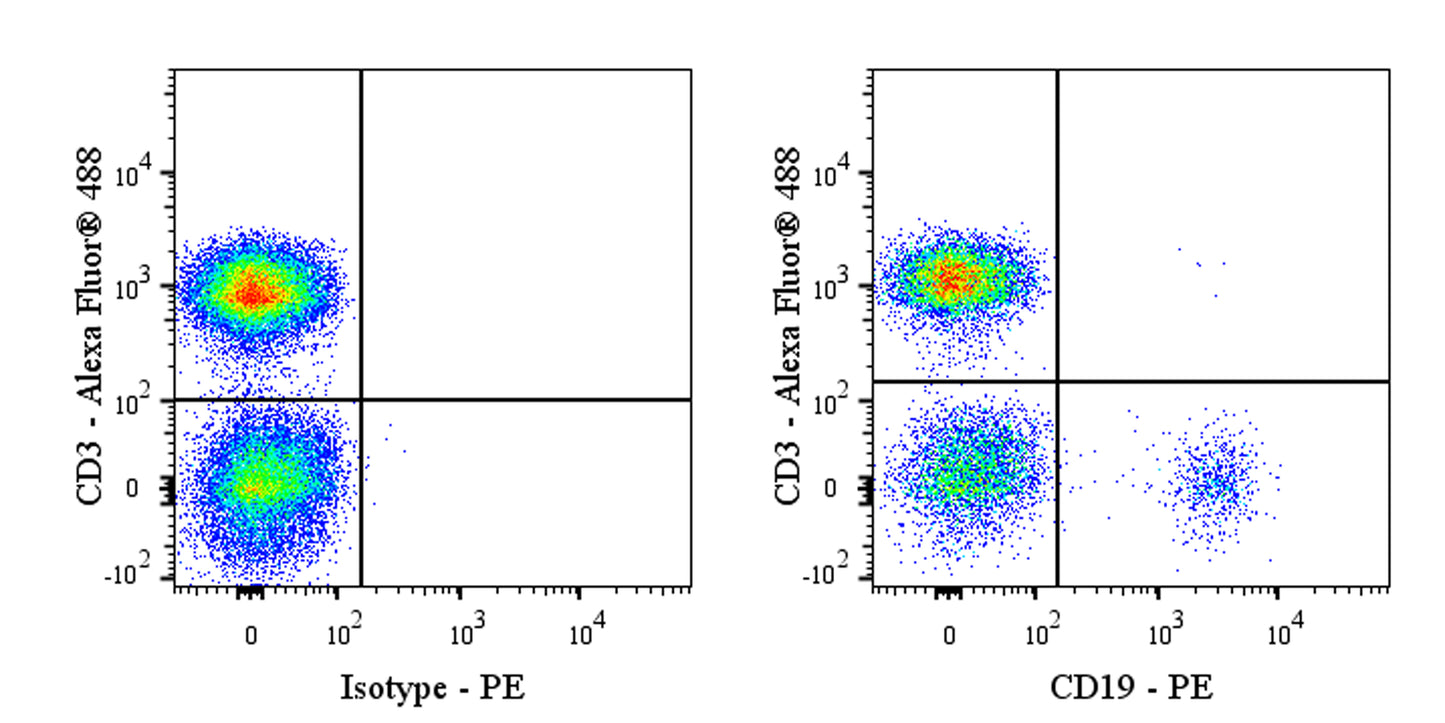 PE Mouse Anti-Human CD19 Antibody (HIB19)