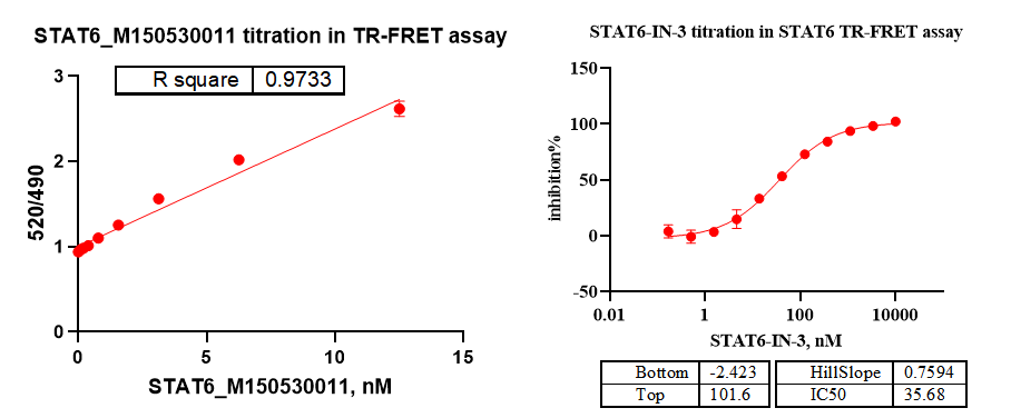 STAT6 His Tag Protein, Human