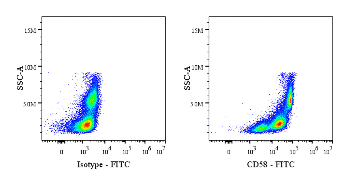FITC Rabbit anti-Human CD58 Antibody (S-1046-14)