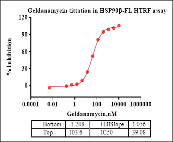 HSP90β, His Tag Protein