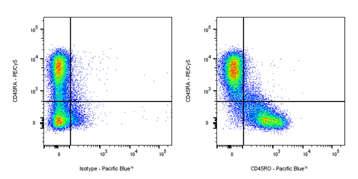Pacific Blue Mouse Anti-Human CD45RO Antibody (UCHL1)