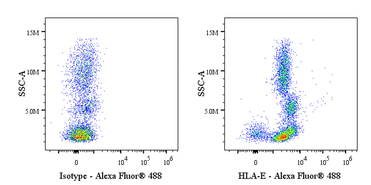 Mouse Anti-Human HLA-E Antibody (3D12)