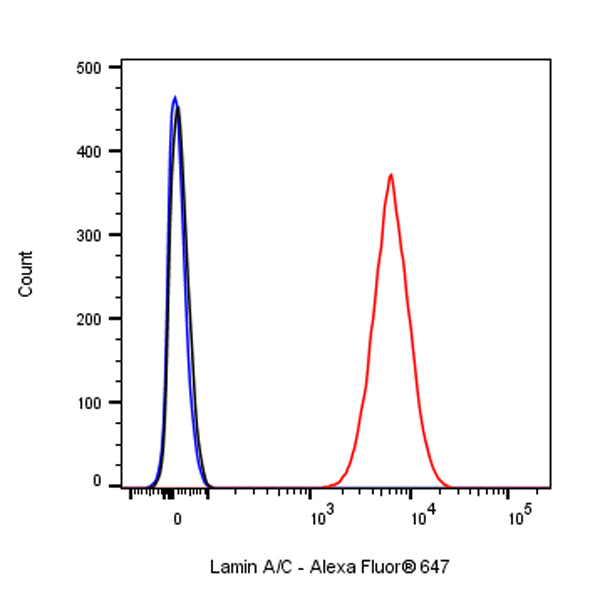Lamin A/C Recombinant Rabbit mAb (Alexa Fluor® 647 Conjugate) (SDT-R041)