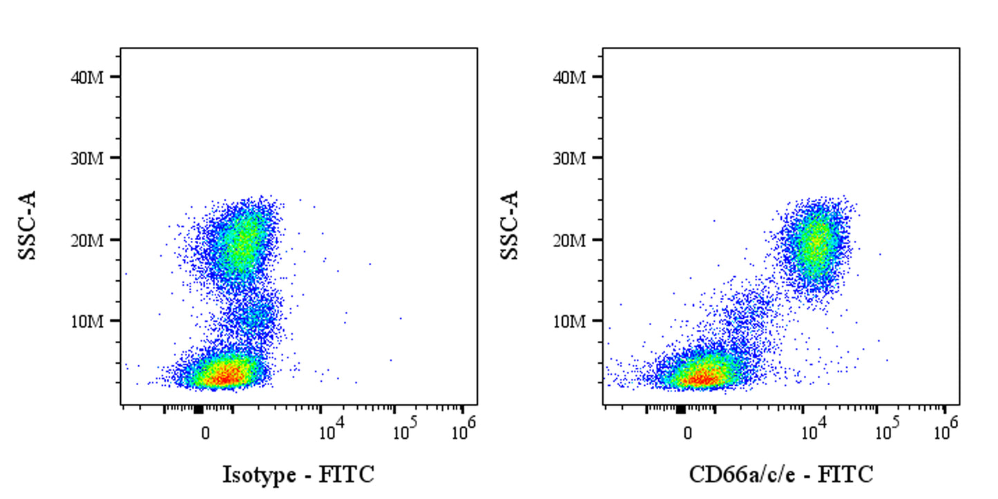 FITC Mouse Anti-Human CD66a/c/e Antibody (S-3923)