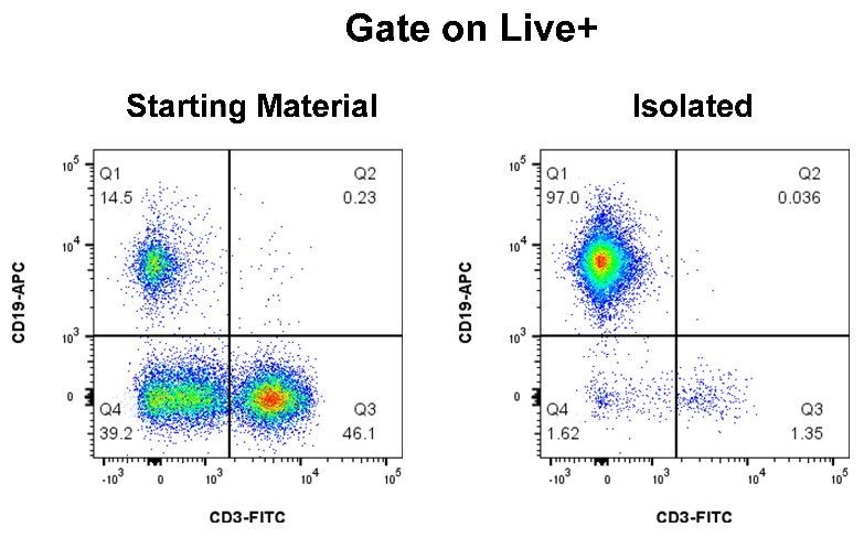 Human B Cell Isolation Kit (Column-Free)