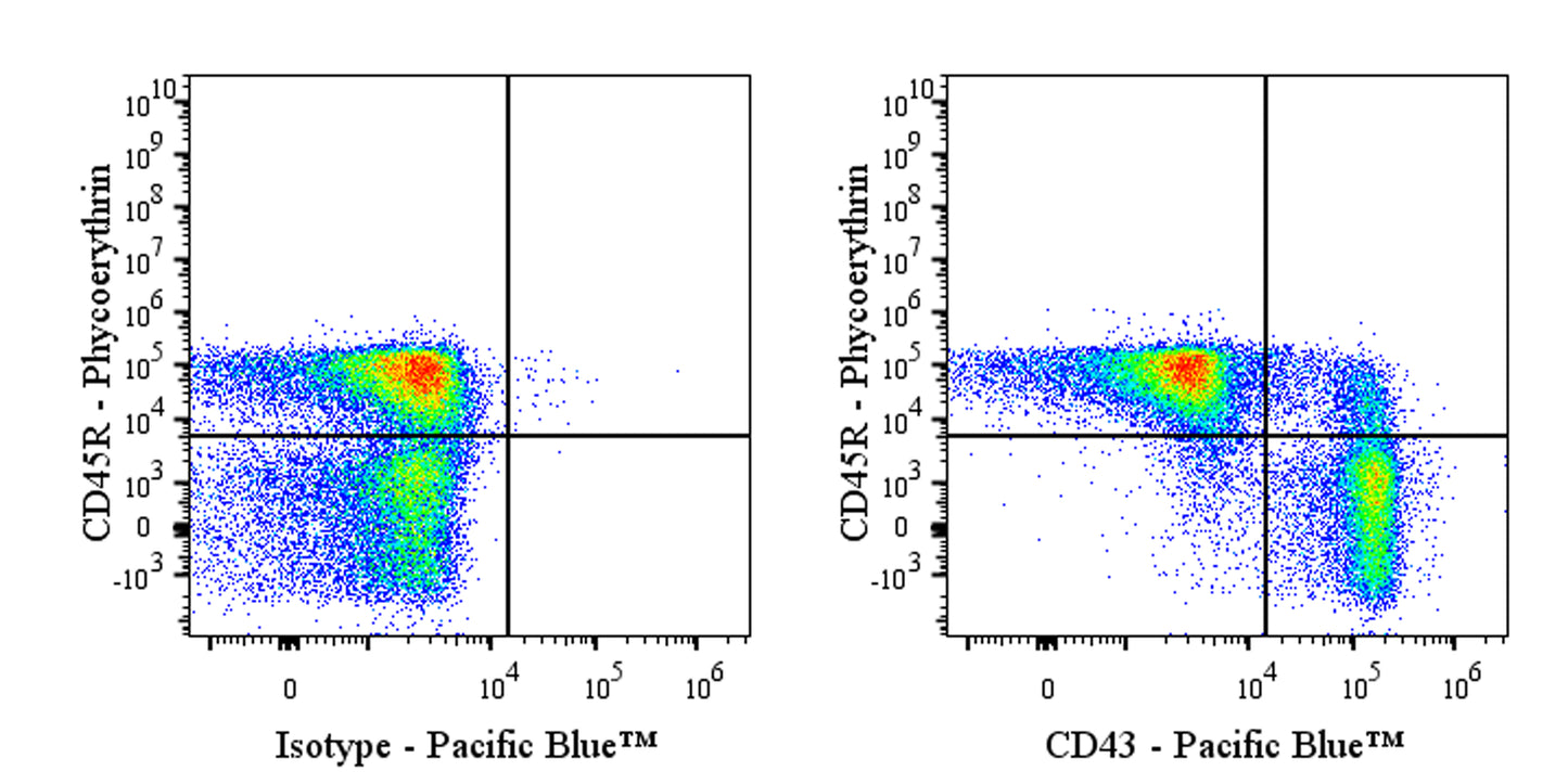 Pacific Blue Mouse Anti-Rat CD43 Antibody (W3/13)