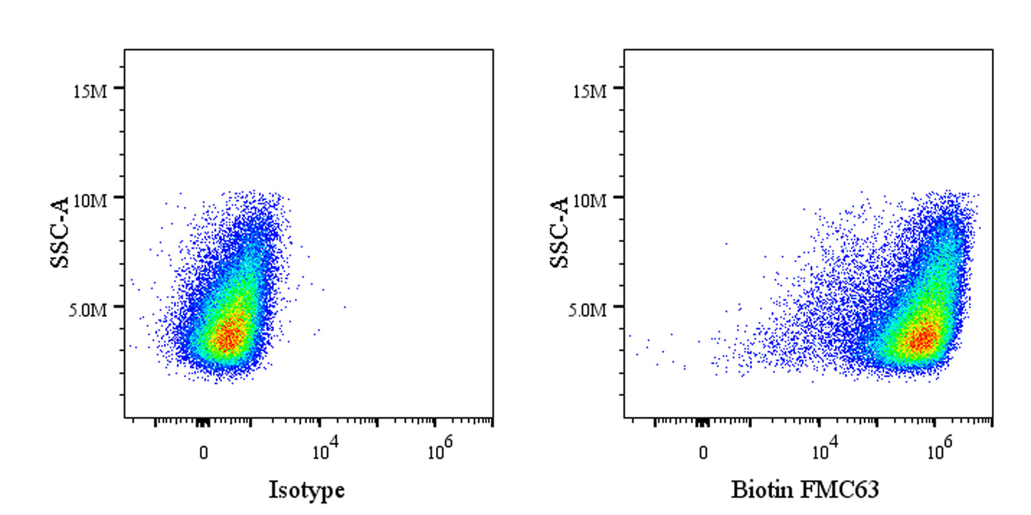 FMC63 Recombinant Mouse mAb (Biotin Conjugate) (S-5031)