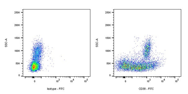 FITC Mouse Anti-Human CD38 Antibody (HB7)