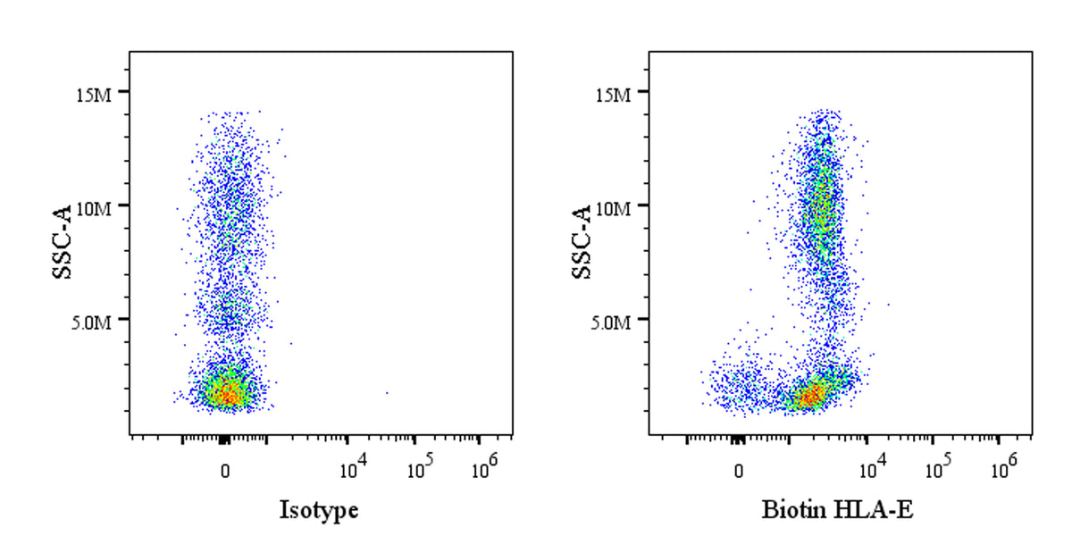 Biotin Mouse Anti-Human HLA-E Antibody (3D12)