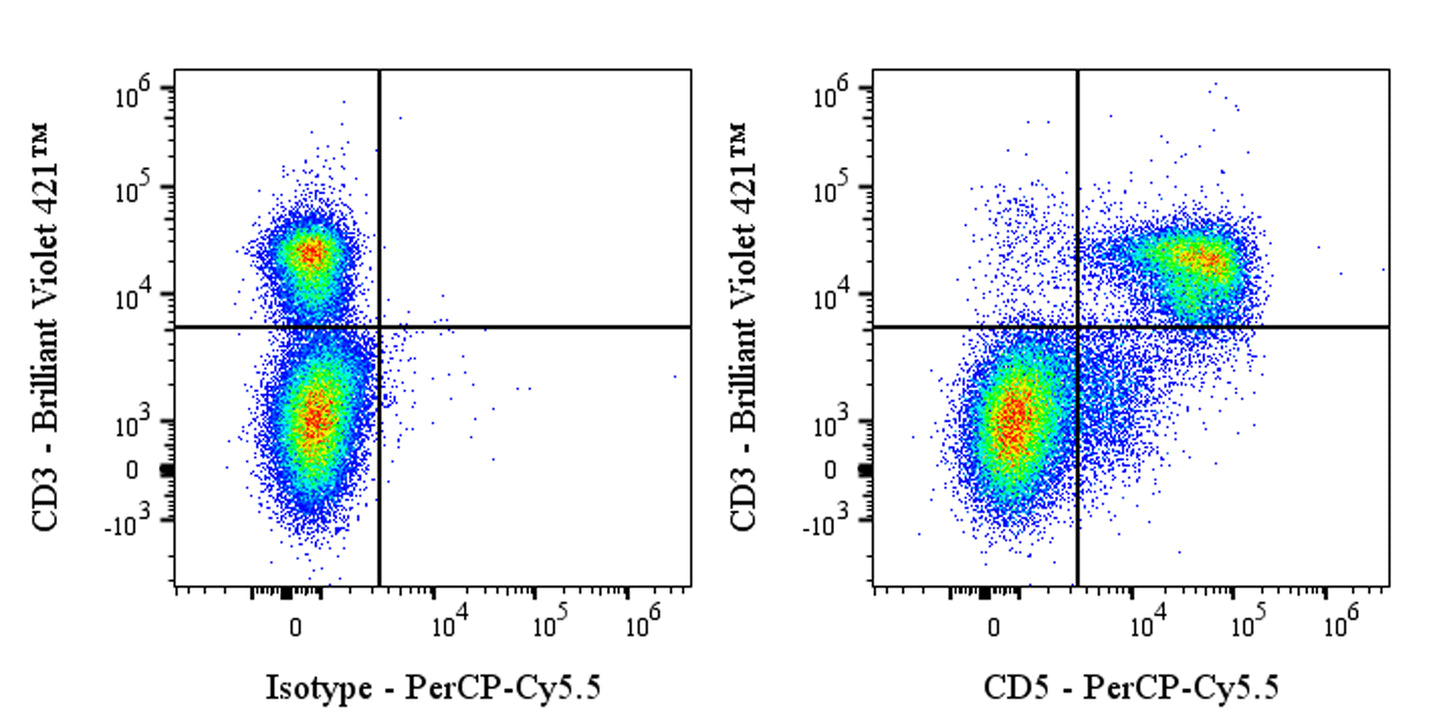 PerCP-Cy5.5 Rat Anti-Mouse CD5 Antibody (53-7.3)