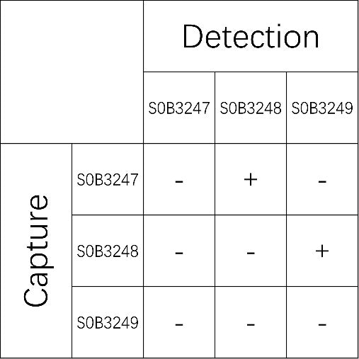 RBP4 Recombinant Rabbit mAb (SDT-693-109)