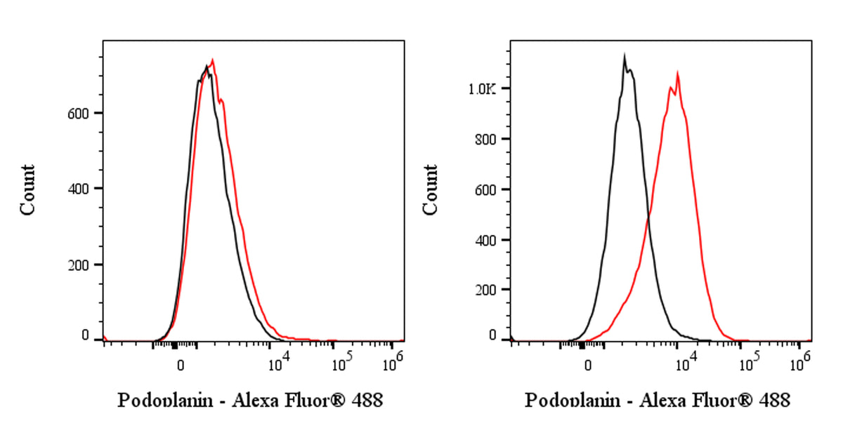 Alexa Fluor® 488 Rat Anti-Human Podoplanin Antibody (S-2796)