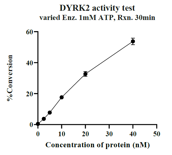 DYRK2 GST Tag Protein, Human