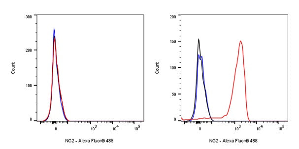 NG2 Chondroitin Sulfate Proteoglycan Recombinant Rabbit mAb (S-1233-25)